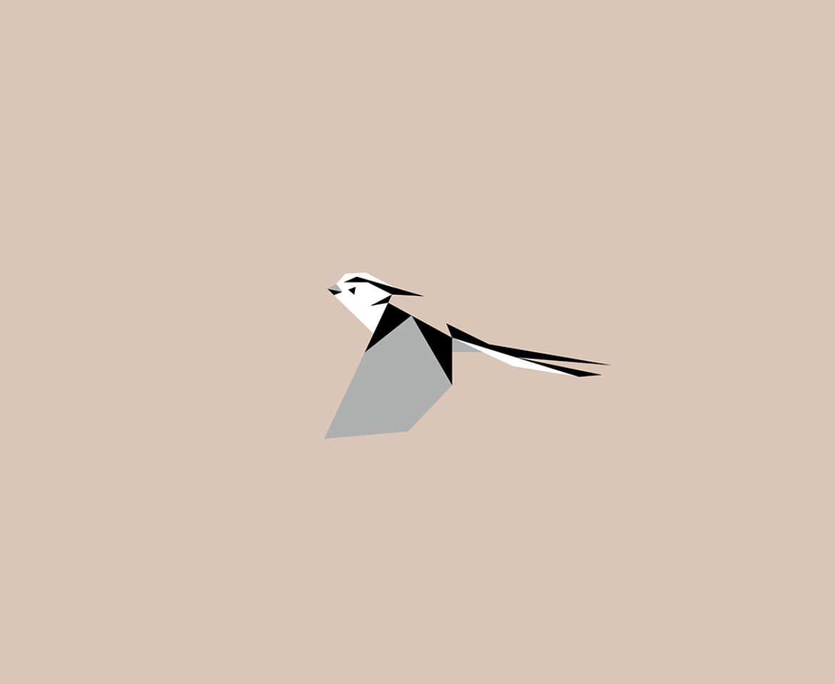 Aegithalos caudatus