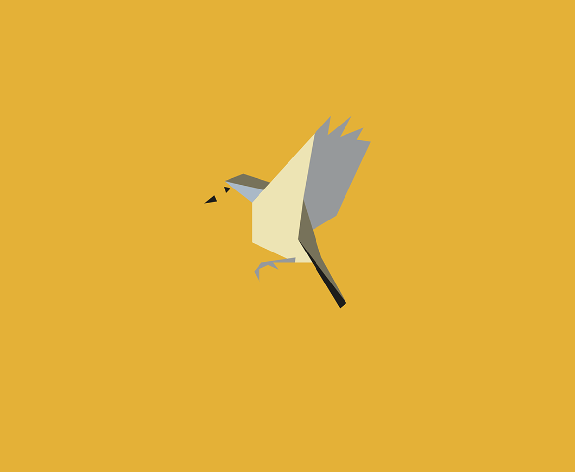 Erithacus rubecula