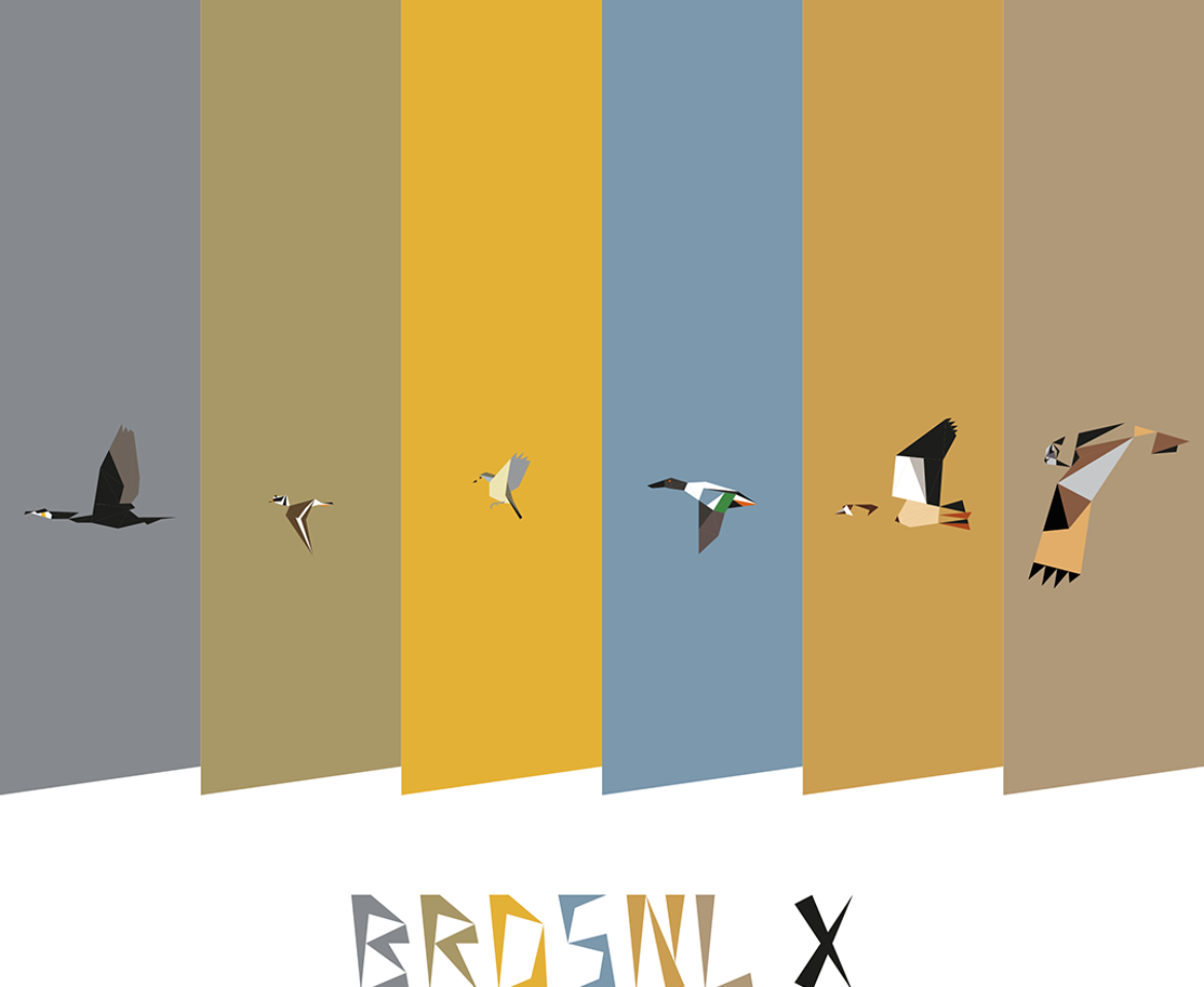 BRDSNL 10