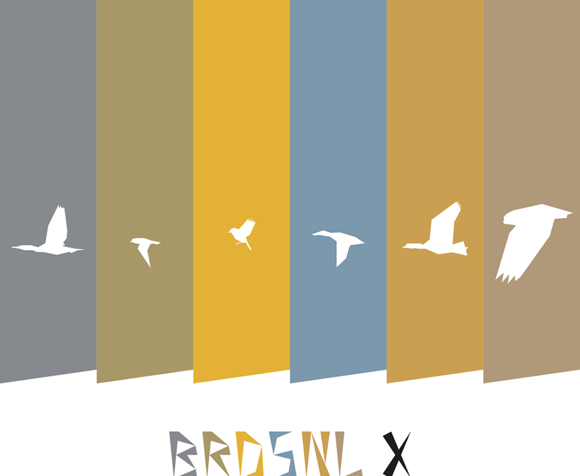 BRDSNL 10 preview