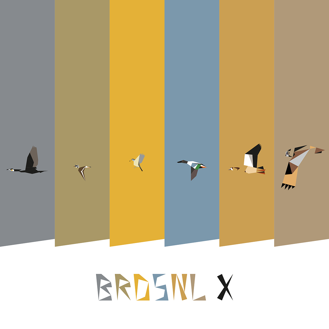 BRDSNL 10