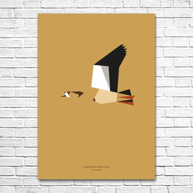 Alopochen aegyptiaca A1 poster