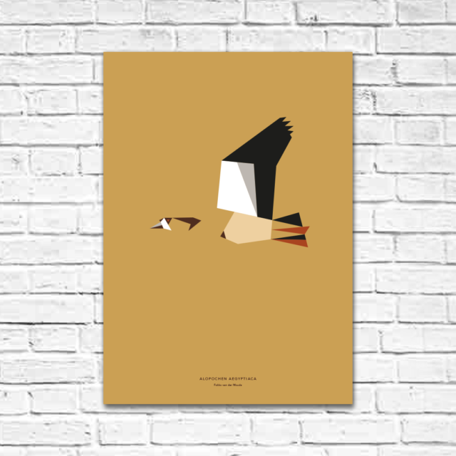 Alopochen aegyptiaca A2 poster