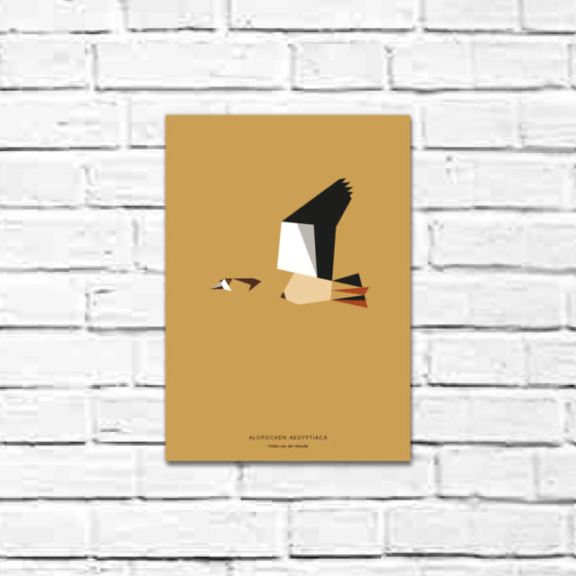 Alopochen aegyptiaca A4 poster