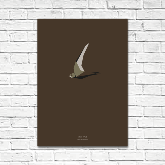 Apus apus A2 poster