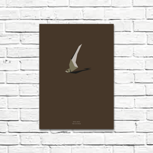 Apus apus A3 poster