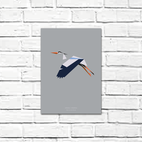 Ardea cinerea A4 poster