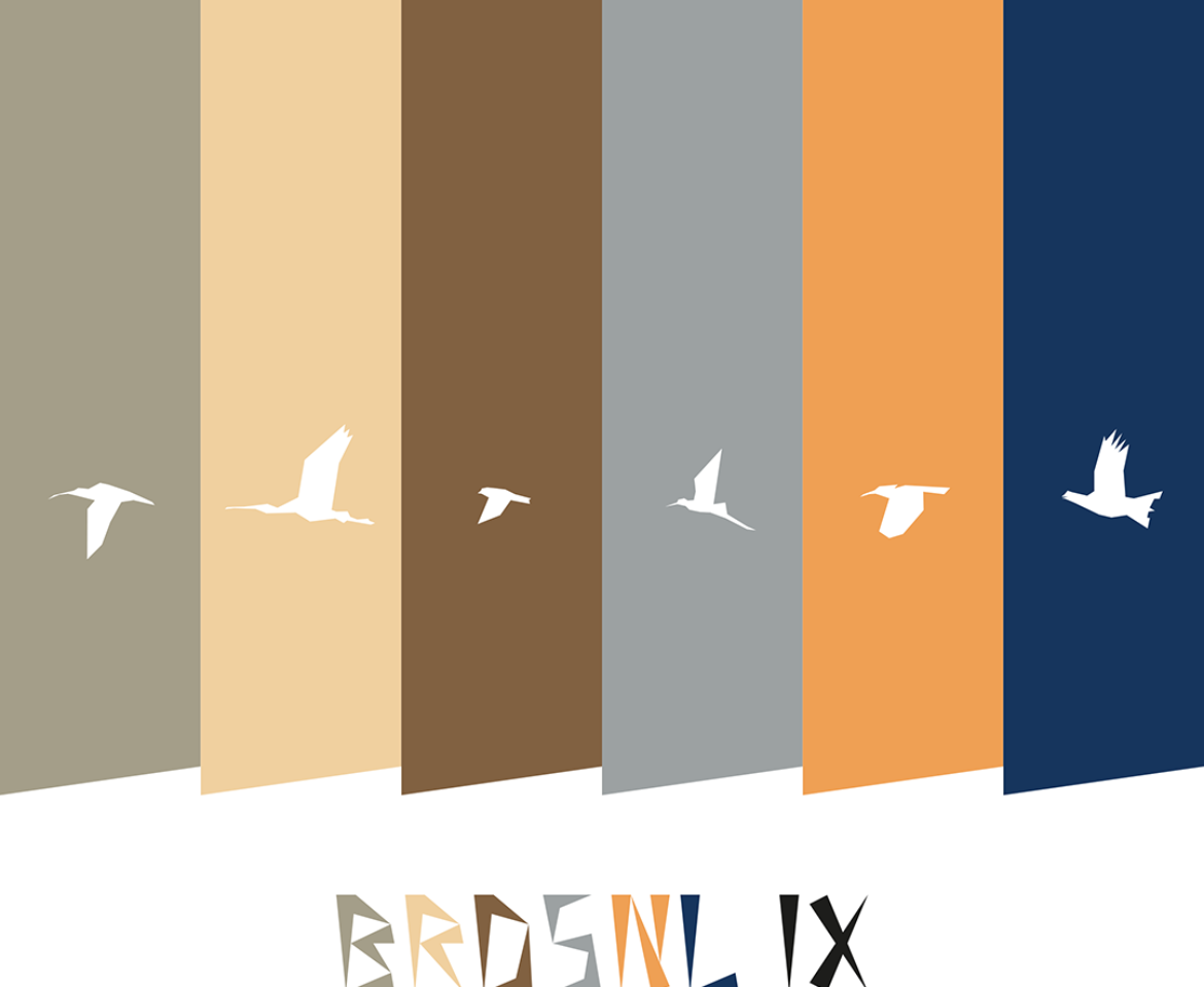 BRDSNL 9 preview