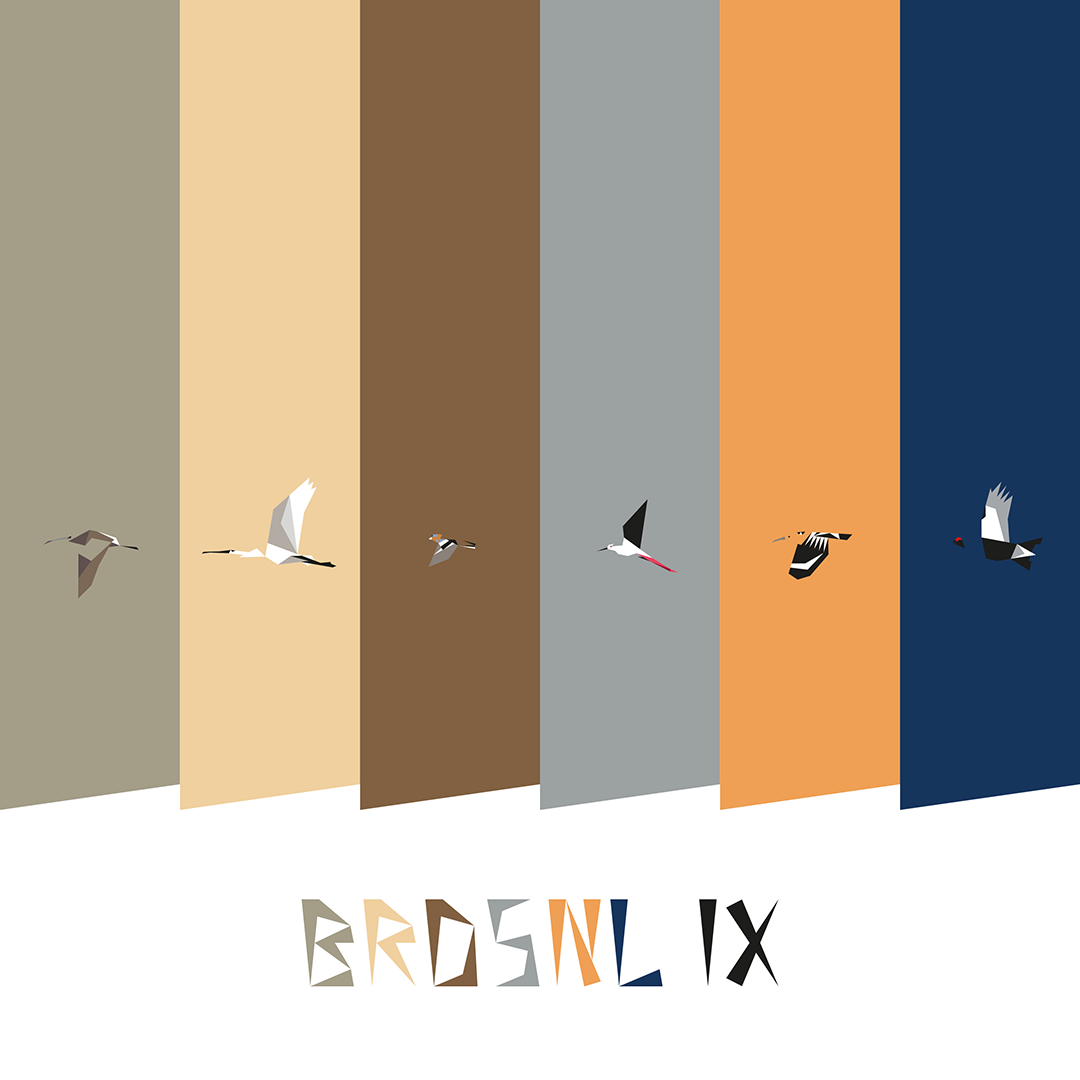 BRDSNL 9