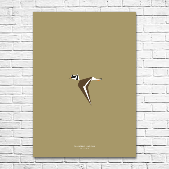 Charadrius hiaticula A1 poster