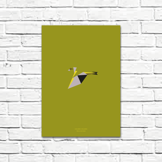 Chloris chloris A3 poster