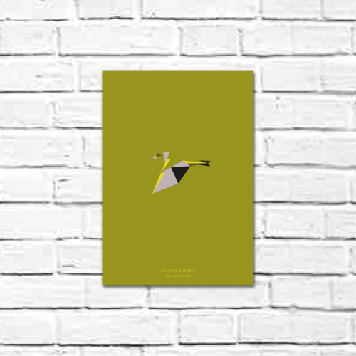 Chloris chloris A4 poster