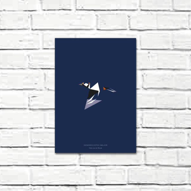 Dendrocopos major A4 poster