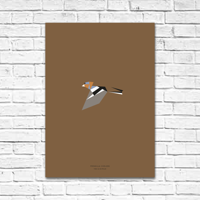 Fringilla coelebs A2 poster