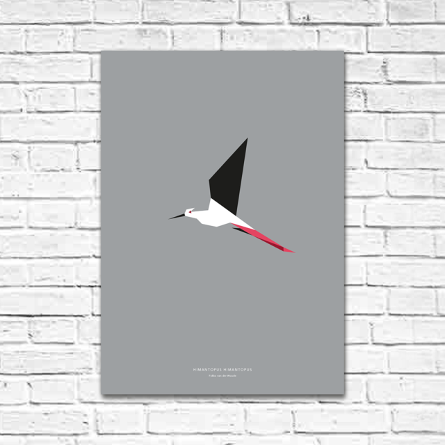 Himantopus himantopus A2 poster