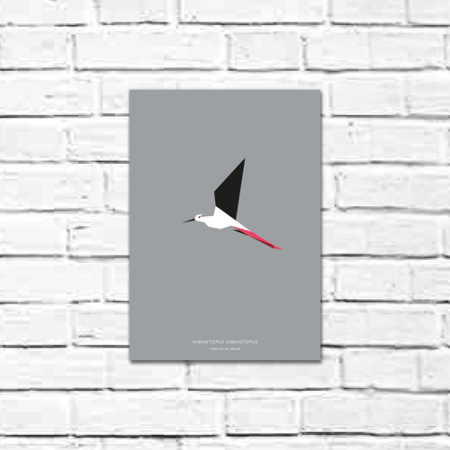 Himantopus himantopus A4 poster