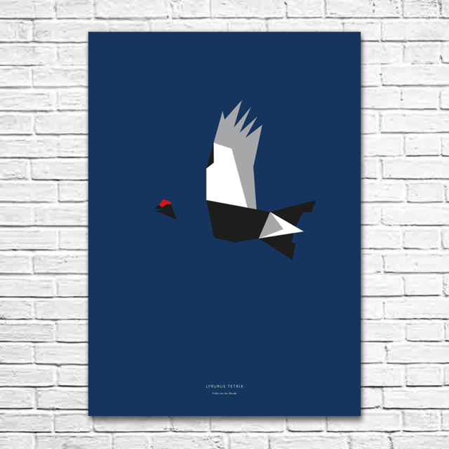 Lyrurus tetrix A1 poster