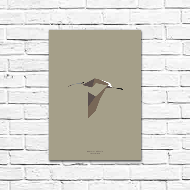 Numenius arquata A3 poster
