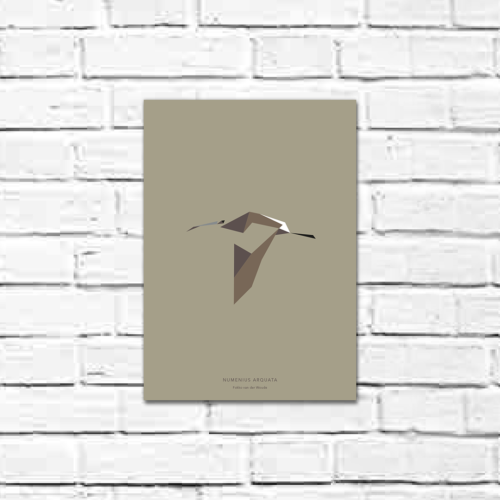 Numenius arquata A4 poster
