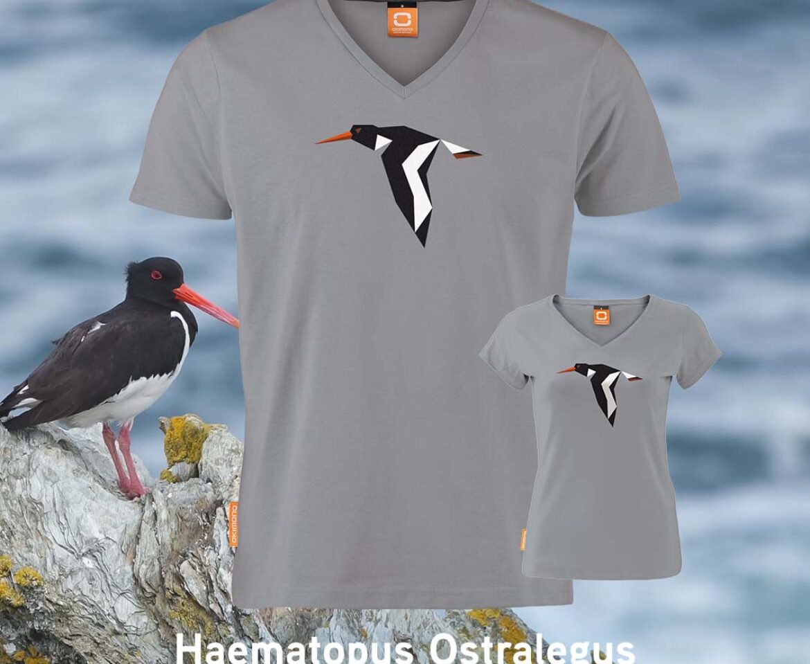 T-shirt Okimono Haematopus ostralegus