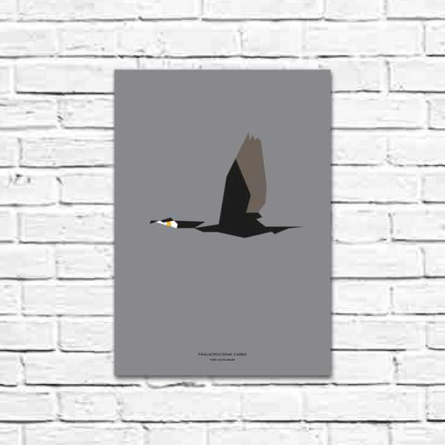 Phalacrocorax carbo A3 poster