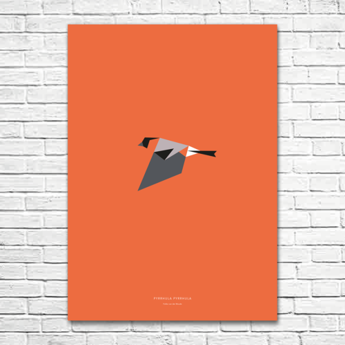 Pyrrhula pyrrhula A1 poster