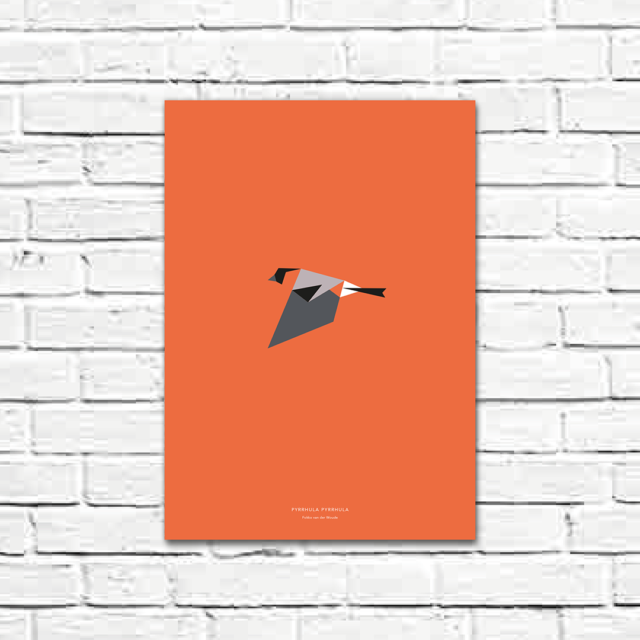 Pyrrhula pyrrhula A3 poster