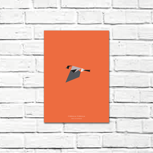 Pyrrhula pyrrhula A4 poster