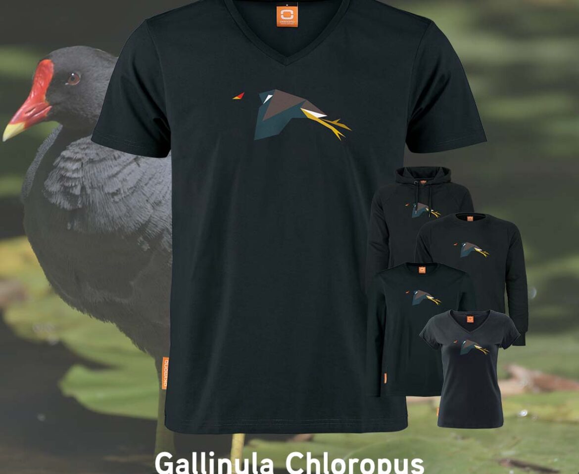 T-shirt Okimono Gallinula chloropus