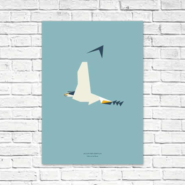 Accipiter gentilis A2 poster