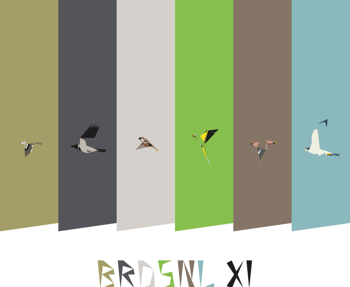 BRDSNL 11
