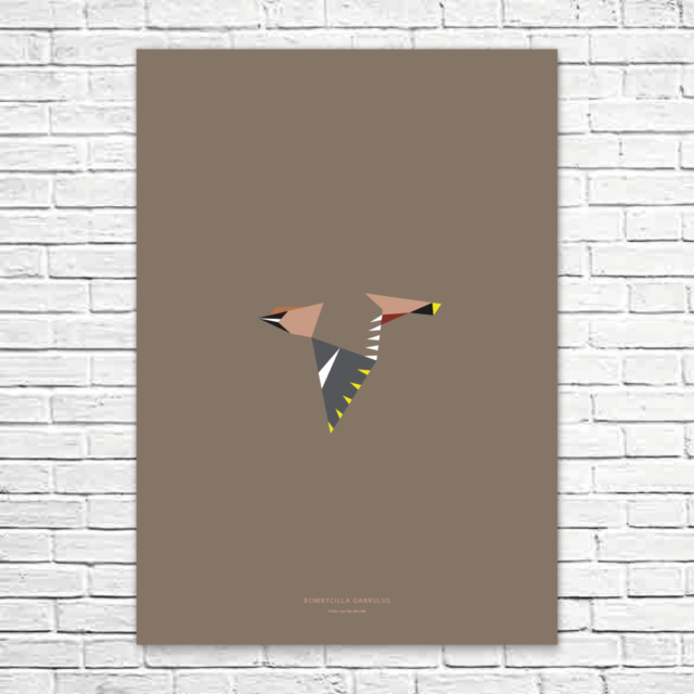 Bombycilla garrulus A1 poster