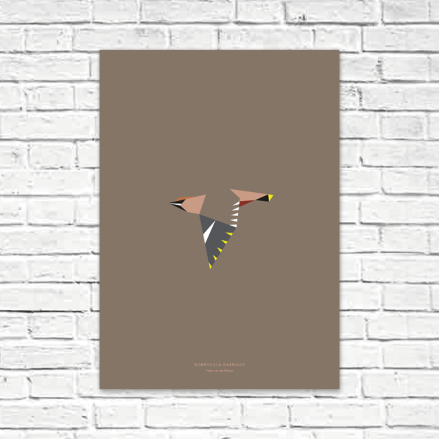 Bombycilla garrulus A2 poster
