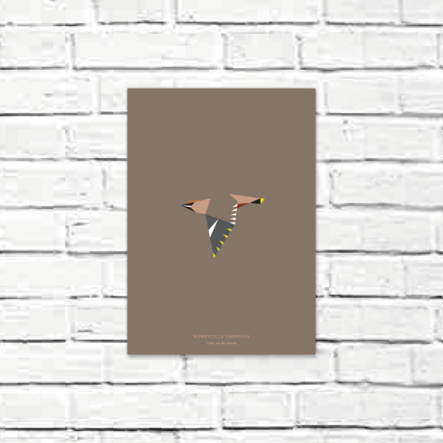 Bombycilla garrulus A4 poster