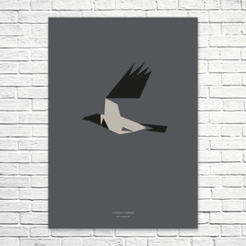 Corvus cornix A1 poster