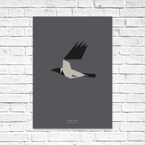 Corvus cornix A2 poster