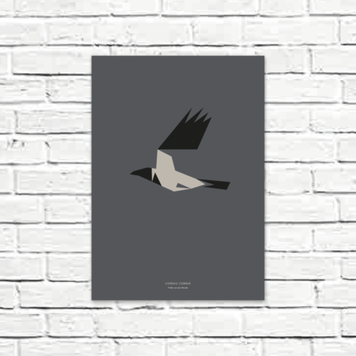 Corvus cornix A3 poster