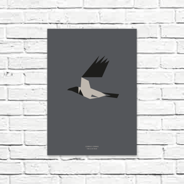 Corvus cornix A3 poster