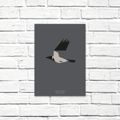 Corvus cornix A4 poster
