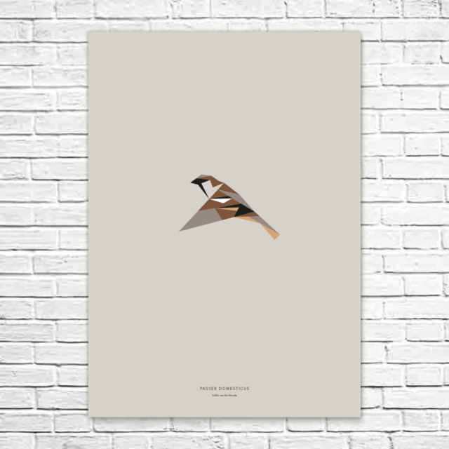 Passer domesticus A1 poster