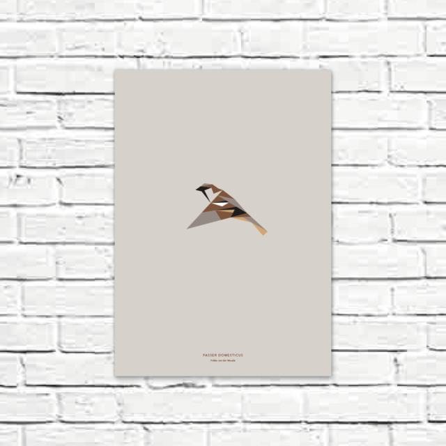 Passer domesticus A3 poster