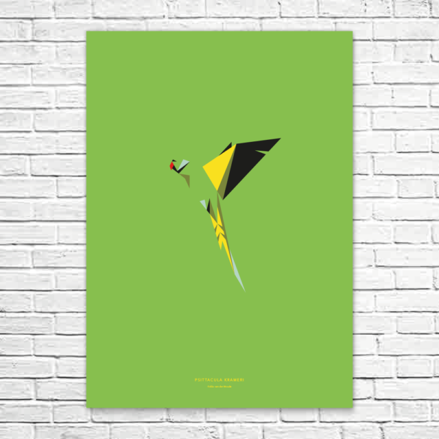 Psittacula krameri A1 poster