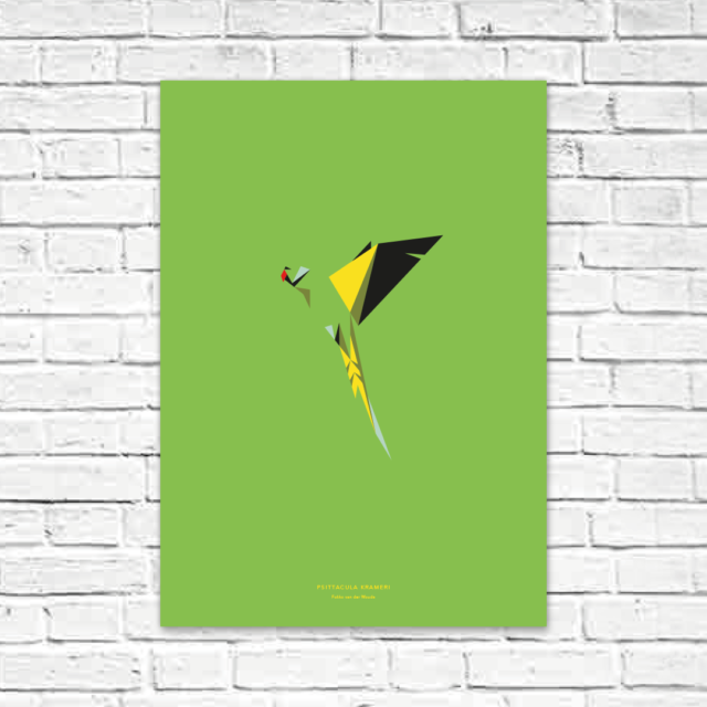 Psittacula krameri A2 poster
