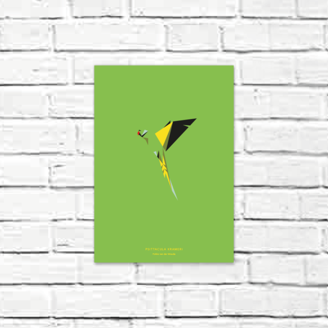 Psittacula krameri A4 poster