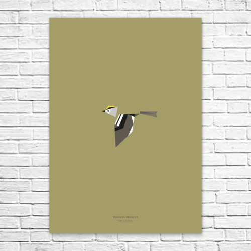 Regulus regulus A1 poster