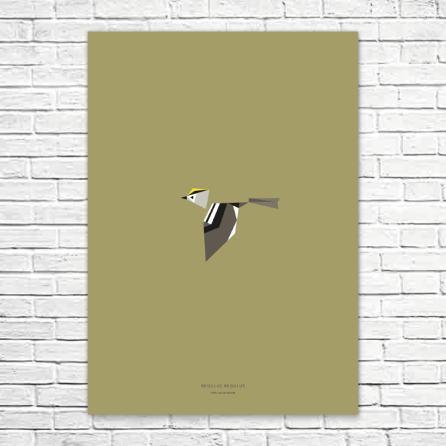 Regulus regulus A1 poster