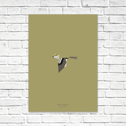 Regulus regulus A2 poster