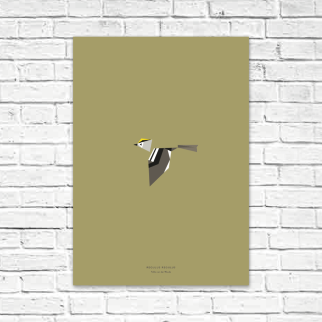Regulus regulus A2 poster