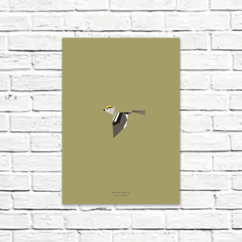 Regulus regulus A3 poster