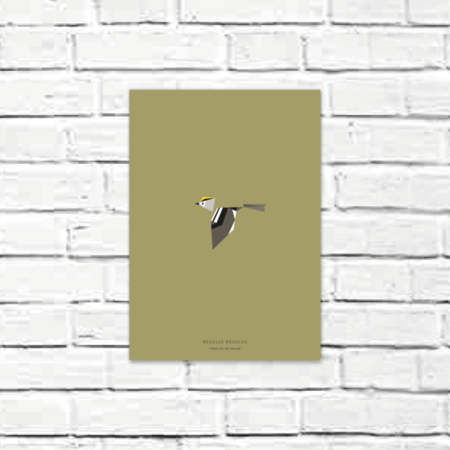 Regulus regulus A4 poster